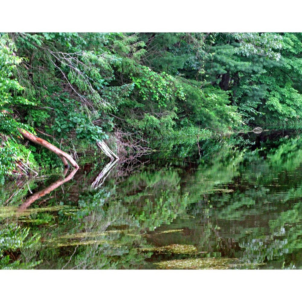 Reflections  11 x 14 print